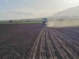 Adilcevaz’da şeker pancarı ekimi başladı
