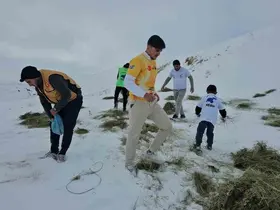 Adilcevaz’da yaban hayvanları unutulmadı: Aktivistlerden Süphan Dağı eteğine yem bıraktı
