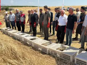 Adıyaman doğasına bin adet keklik salındı
