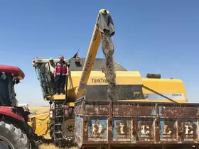 Adıyaman’da çörek otu hasadı başladı
