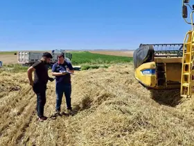 Afyonkarahisar’da hububat hasadı başladı
