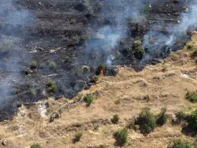 Afyonkarahisar’da otluk alandaki yangın bağ evlerine sıçradı
