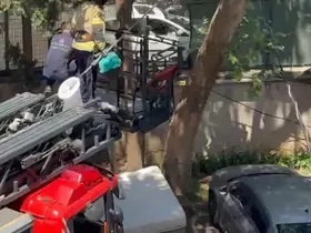 Ağaçta mahsur kalan kedi itfaiye tarafından kurtarıldı

