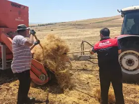 Ağın’da mercimek tohumluklarında hasat kontrolleri
