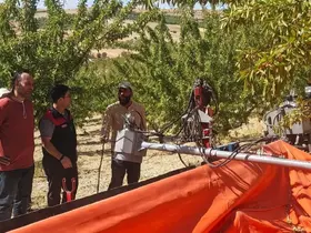 Ağın’daki badem üretim alanlarında inceleme

