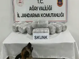 Ağrı’da 10 kilogram skunk ele geçirildi, 1 şüpheli tutuklandı
