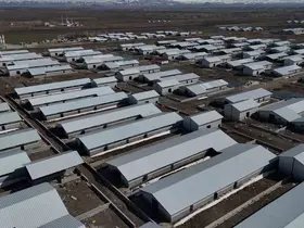Ağrı’da 307 ahırlık hayvancılık üssü hayata geçiyor
