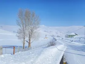 Ağrı’da kar manzarası görsel şölen oluşturdu
