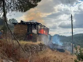 Ahırda çıkan yangın ormana sıçradı, büyümeden söndürüldü
