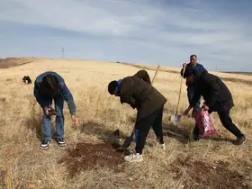 Ahlat’ta "Maziden Atiye" programı kapsamında öğrenciler fidan dikti
