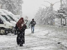 Ahlat’ta nisan karı etkili oldu
