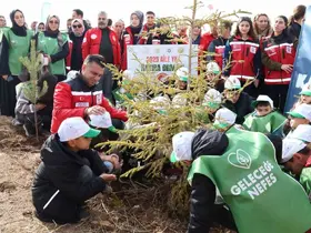 Aile Yılı’nda anlamlı buluşma: Aile Hatıra Ormanı’nda fidanlar toprakla buluştu
