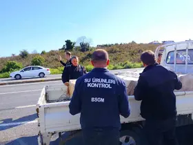 Akçakoca’da balık nakil araçlarına sıkı denetim
