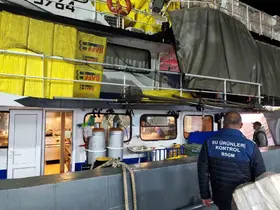 Akçakoca’da Palamut avına sıkı denetim

