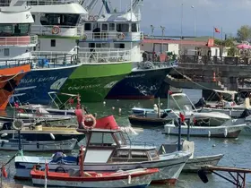 Akçakocalı balıkçılar yeni sezonda umduğunu henüz bulamadı
