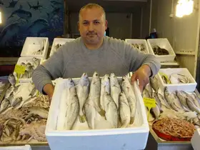 Akdeniz’de av yasağı başlıyor
