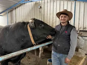 Aksiliklerinden kantara çıkamıyorlar: 4 yaşındaki dev tosunları gören bir daha bakıyor
