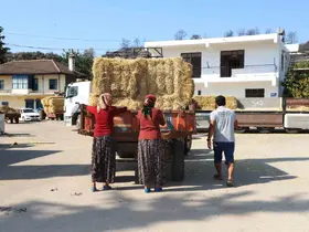 Aksu’da yangından etkilenen bölgelere saman desteği
