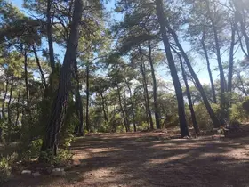 Akyaka Gökova Orman Parkı’nda temizlik ve elektrik yenileme çalışmaları başladı

