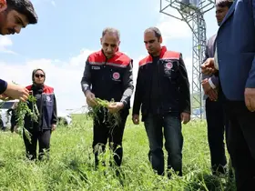 Akyaka’da dolu yağışı tarım arazilerini vurdu: Hasar tespit çalışmaları sürüyor

