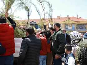 Alaca Belediyesi vatandaşlara 2 bin fidan dağıttı
