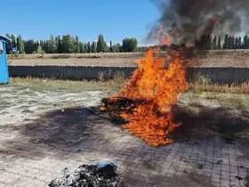 Alaca’da ele geçirilen 21 kök kenevir imha edildi
