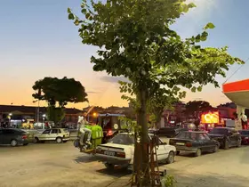 Alaca’da haşereye karşı ilaçlama çalışmaları hız kesmeden sürüyor
