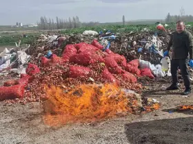 Alaca’da kaçak sigara ve alkol yakılarak imha edildi
