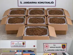 Alanya ve Döşemealtı’nda kaçak tütün operasyonu
