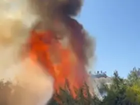 Alanya’da çalılık alanda çıkan yangında 2 sera ve 2 dönüm arazi zarar gördü
