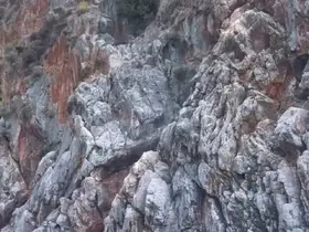 Alanya’da denize ölümüne atlayış
