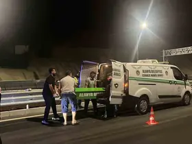Alanya’da motosiklet bariyerlere çarptı, sürücü hayatını kaybetti
