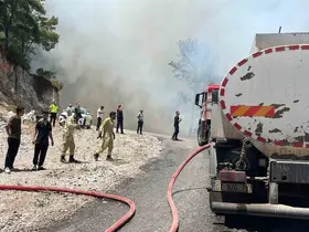 Alanya’da orman yangını
