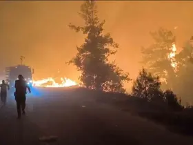 Alanya’da orman yangını
