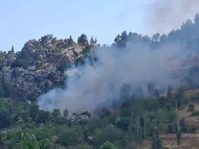 Alanya’da zirai alanda çıkan yangın söndürüldü
