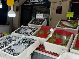 Alaplı’da balık tezgâhları boş kaldı
