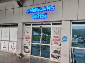 Alaplı’da ’pat-pat’ kazası: 2 yaralı
