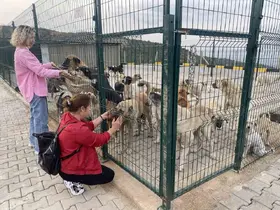 Alaşehir’de 30 dönümlük doğal yaşam alanı açıldı
