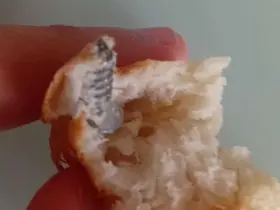 Aldığı ekmeğin içerisinden vida çıktı
