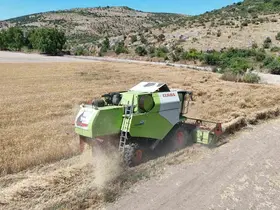 Altıeylül’ün bereketli topraklarında hasat başladı
