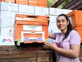 Altın Kovan Projesi kırsalda üretimi büyütüyor
