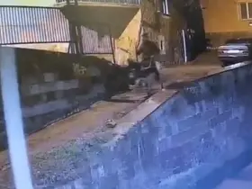 Altınları çalıp eşekle kaçan sanığa 9 yıl 7 ay hapis cezası
