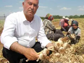 Altun’dan tarım mesajı
