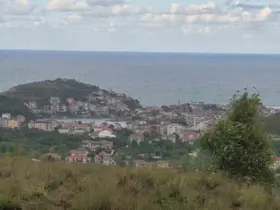 Amasra’da denizin rengi değişti
