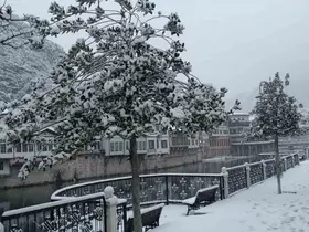 Amasya yeni yıla karla girdi, şehir beyaza büründü
