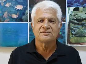 Amatör kıyı balıkçısının oltasına köpek balığı takıldı
