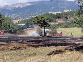 Anız yangını ormana sıçradı, köylülerin erken müdahalesi facianın önüne geçti
