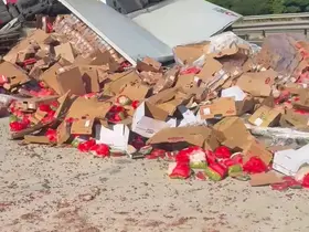 Ankara yolunda tır akaryakıt istasyonuna daldı, faciadan dönüldü
