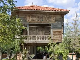 Ankara’da 200 yıllık serender kül oldu

