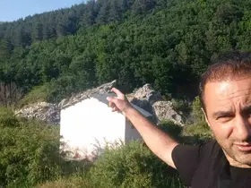 Anne ayı ve 3 yavrusu arazide görüntülendi
